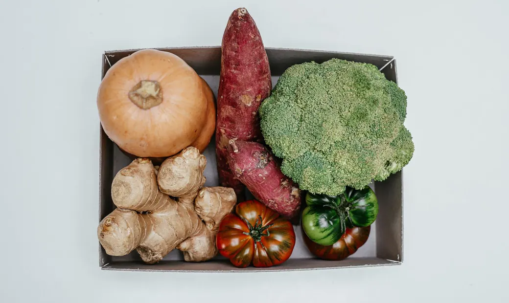 Gut Health illustration
