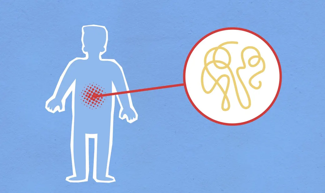Gut Health illustration