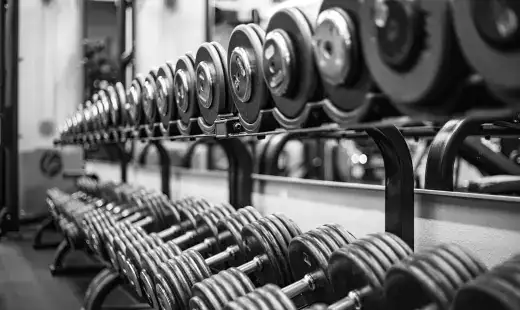 Strength & Muscle illustration