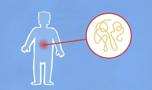Gut Health illustration